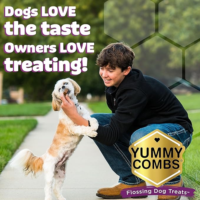 Yummy Combs (MiniPacks) Chicken