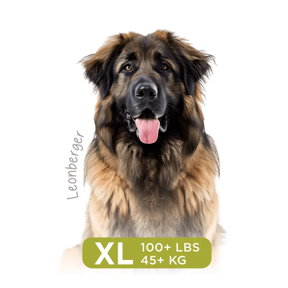 Longevity15 Extra Large - Upsell