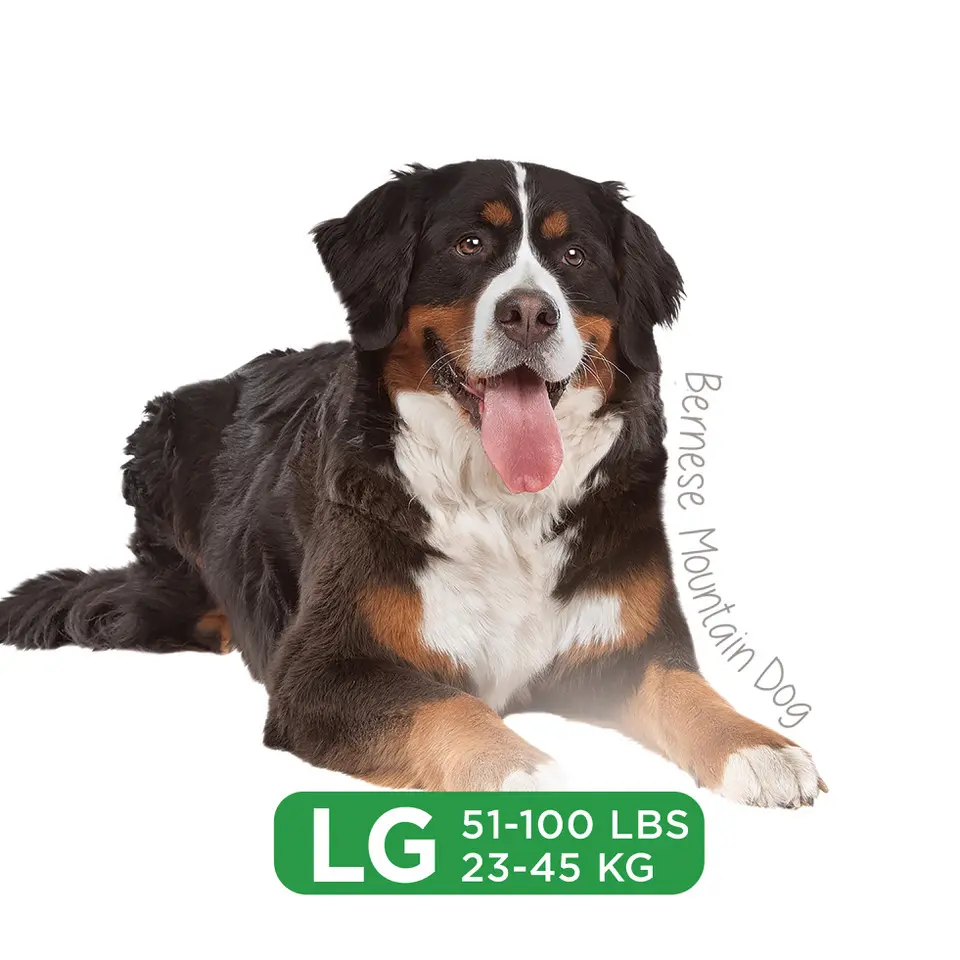 Longevity15 Large - Upsell