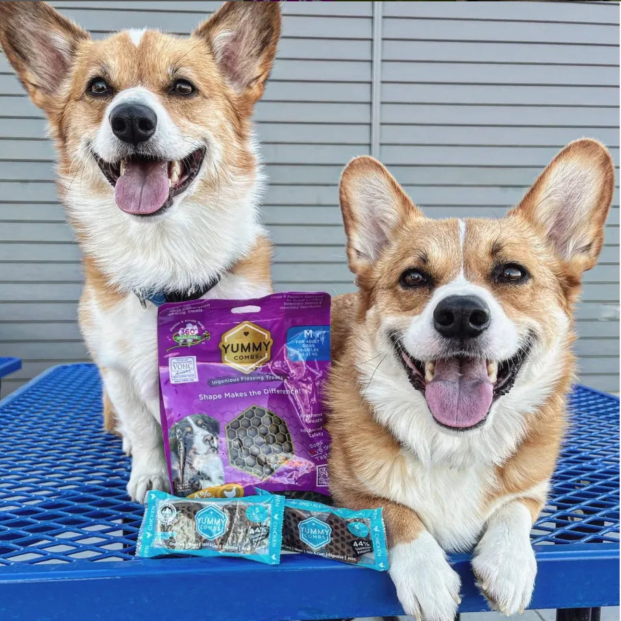 Two smiling corgis sitting beside bags of Yummy Combs dental treats