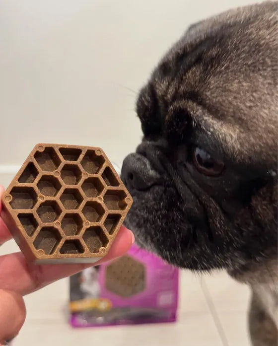 Pug with a bag of Yummy Combs