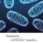 Cell_Health