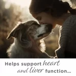 Heart_Liver_Support