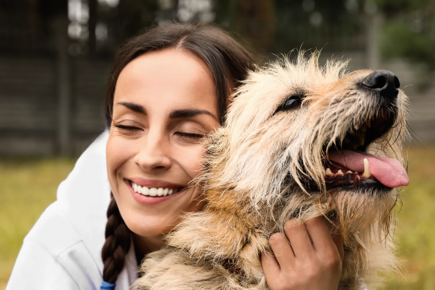 Is a Dog's Mouth Cleaner Than a Human's: Fact or Fiction?